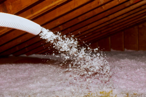 Best Commercial Insulation in Reinbeck, IA