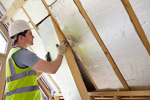 Best Insulation Maintenance and Repair in Reinbeck, IA